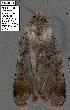  ( - 3035-COI-08)  @12 [ ] Unspecified (default): All Rights Reserved  Unspecified Unspecified