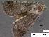  ( - 3036-COI-08)  @12 [ ] Unspecified (default): All Rights Reserved  Unspecified Unspecified