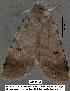  ( - 3038-COI-08)  @12 [ ] Unspecified (default): All Rights Reserved  Unspecified Unspecified