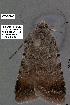  ( - 3039-COI-08)  @12 [ ] Unspecified (default): All Rights Reserved  Unspecified Unspecified