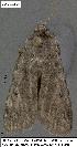  ( - 3040-COI-08)  @12 [ ] Unspecified (default): All Rights Reserved  Unspecified Unspecified