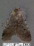 ( - 3041-COI-08)  @12 [ ] Unspecified (default): All Rights Reserved  Unspecified Unspecified