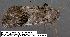  ( - 3058-COI-08)  @13 [ ] Unspecified (default): All Rights Reserved  Unspecified Unspecified