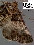  ( - 3063-COI-08)  @12 [ ] Unspecified (default): All Rights Reserved  Unspecified Unspecified