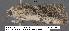  ( - 3084-COI-08)  @12 [ ] Unspecified (default): All Rights Reserved  Unspecified Unspecified