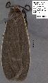  ( - 3092-COI-08)  @12 [ ] Unspecified (default): All Rights Reserved  Unspecified Unspecified