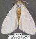  ( - 3140-COI-07)  @13 [ ] Unspecified (default): All Rights Reserved  Unspecified Unspecified