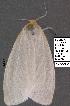  ( - 3142-COI-07)  @12 [ ] Unspecified (default): All Rights Reserved  Unspecified Unspecified