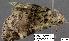 ( - 3147-COI-07)  @13 [ ] Unspecified (default): All Rights Reserved  Unspecified Unspecified