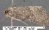  ( - 3153-COI-07)  @11 [ ] Unspecified (default): All Rights Reserved  Unspecified Unspecified