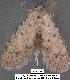  ( - 3154-COI-07)  @13 [ ] Unspecified (default): All Rights Reserved  Unspecified Unspecified