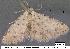  ( - 3155-COI-07)  @12 [ ] Unspecified (default): All Rights Reserved  Unspecified Unspecified
