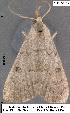  ( - 3172-COI-07)  @13 [ ] Unspecified (default): All Rights Reserved  Unspecified Unspecified