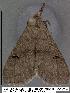  ( - 3178-COI-07)  @13 [ ] Unspecified (default): All Rights Reserved  Unspecified Unspecified