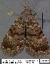  ( - 3182-COI-07)  @13 [ ] Unspecified (default): All Rights Reserved  Unspecified Unspecified