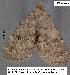  ( - 3187-COI-07)  @12 [ ] Unspecified (default): All Rights Reserved  Unspecified Unspecified