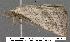  ( - 3191-COI-08)  @12 [ ] Unspecified (default): All Rights Reserved  Unspecified Unspecified