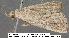  ( - 3192-COI-08)  @12 [ ] Unspecified (default): All Rights Reserved  Unspecified Unspecified