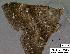  ( - 3193-COI-08)  @12 [ ] Unspecified (default): All Rights Reserved  Unspecified Unspecified