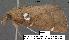  ( - 3200-COI-08)  @12 [ ] Unspecified (default): All Rights Reserved  Unspecified Unspecified