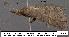  ( - 3215-COI-08)  @13 [ ] Unspecified (default): All Rights Reserved  Unspecified Unspecified
