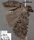  ( - 3227-COI-08)  @12 [ ] Unspecified (default): All Rights Reserved  Unspecified Unspecified