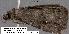 ( - 3229-COI-08)  @12 [ ] Unspecified (default): All Rights Reserved  Unspecified Unspecified