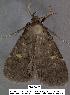  ( - 3243-COI-08)  @12 [ ] Unspecified (default): All Rights Reserved  Unspecified Unspecified
