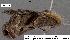  ( - 3248-COI-08)  @12 [ ] Unspecified (default): All Rights Reserved  Unspecified Unspecified