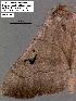  ( - 3257-COI-08)  @12 [ ] Unspecified (default): All Rights Reserved  Unspecified Unspecified