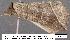  ( - 3265-COI-08)  @13 [ ] Unspecified (default): All Rights Reserved  Unspecified Unspecified