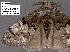  ( - 3378-COI-08)  @12 [ ] Unspecified (default): All Rights Reserved  Unspecified Unspecified