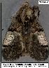  ( - 3382-COI-08)  @12 [ ] Unspecified (default): All Rights Reserved  Unspecified Unspecified