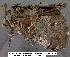  ( - 3389-COI-08)  @12 [ ] Unspecified (default): All Rights Reserved  Unspecified Unspecified