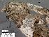  ( - 3396-COI-08)  @12 [ ] Unspecified (default): All Rights Reserved  Unspecified Unspecified