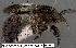  ( - 3421-COI-08)  @12 [ ] Unspecified (default): All Rights Reserved  Unspecified Unspecified