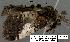  ( - 3422-COI-08)  @12 [ ] Unspecified (default): All Rights Reserved  Unspecified Unspecified