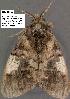 ( - 3438-COI-08)  @12 [ ] Unspecified (default): All Rights Reserved  Unspecified Unspecified