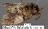  ( - 3448-COI-08)  @12 [ ] Unspecified (default): All Rights Reserved  Unspecified Unspecified