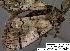  ( - 3454-COI-08)  @12 [ ] Unspecified (default): All Rights Reserved  Unspecified Unspecified