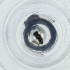  ( - HLNR_010_F5)  @11 [ ] by  Genome Research Ltd as Wellcome Sanger Institute Genome Research Limited operating as Wellcome Sanger Institute