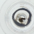  ( - HLNR_041_D8)  @11 [ ] by  Genome Research Ltd as Wellcome Sanger Institute Genome Research Limited operating as Wellcome Sanger Institute