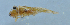  ( - BS-44)  @12 [ ] CreativeCommons - Attribution (2012) Zhi-Jun Zhou Centre for Biodiversity Genomics