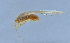  ( - HLXX-047)  @11 [ ] CreativeCommons - Attribution (2010) Zhi-Jun Zhou Centre for Biodiversity Genomics