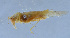  ( - HLXX-094)  @13 [ ] CreativeCommons - Attribution (2010) Zhi-Jun Zhou Centre for Biodiversity Genomics