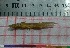  ( - PUL-HMA-Fish-743)  @11 [ ] CreativeCommons-Attribution Non-Commercial Share-Alike (2019) H. M. Tahir Government College University of Lahore