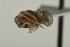  ( - CHU05-ANT-262)  @13 [ ] Unspecified (default): All Rights Reserved  Unspecified Unspecified