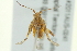  (Sidnia - BIOUG02558-D08)  @13 [ ] CreativeCommons - Attribution (2013) CBG Photography Group Centre for Biodiversity Genomics