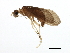  ( - 09HMCAD-0203)  @12 [ ] CreativeCommons - Attribution (2009) Unspecified Centre for Biodiversity Genomics