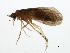  ( - 09HMCAD-0205)  @13 [ ] CreativeCommons - Attribution (2009) Unspecified Centre for Biodiversity Genomics